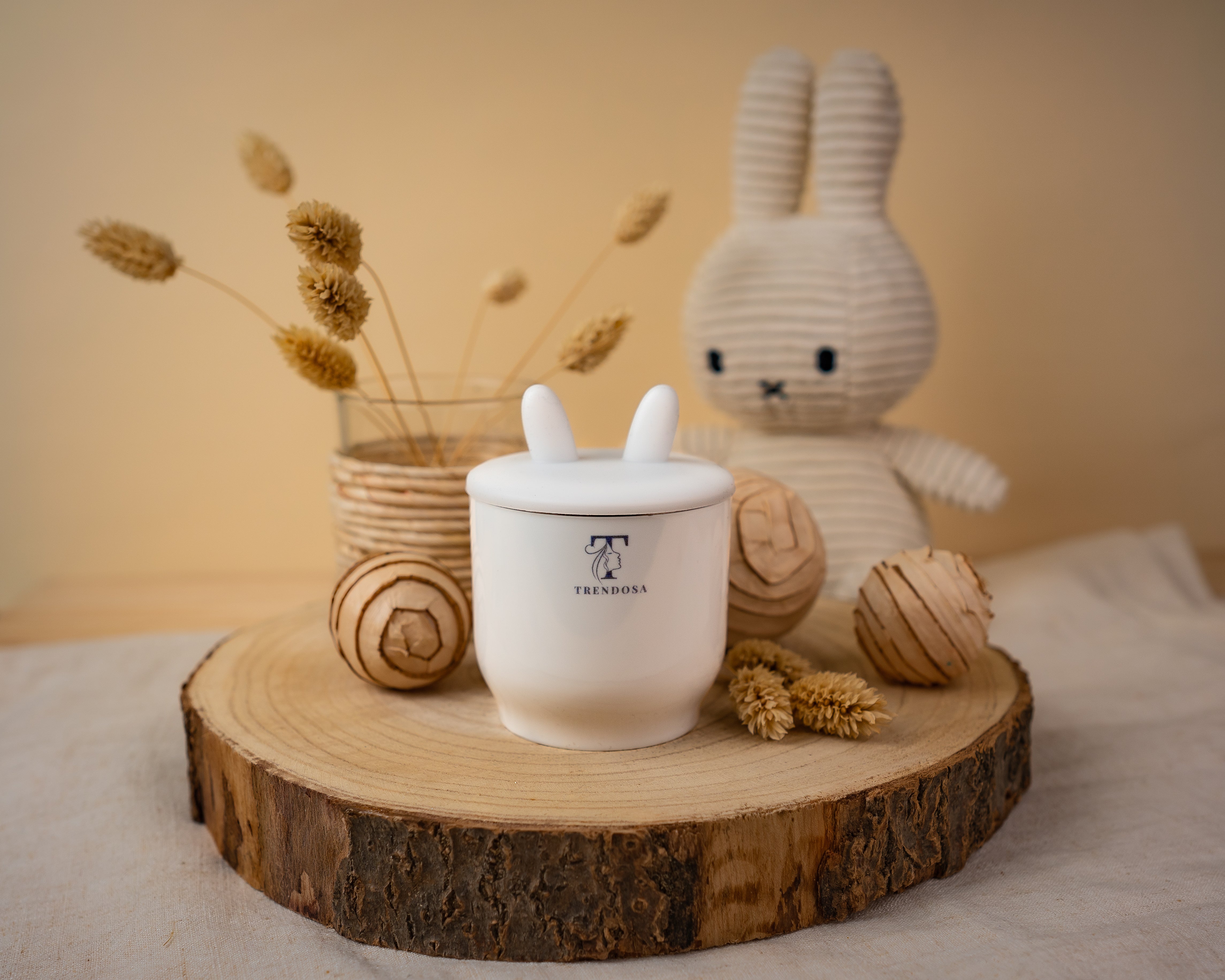 Trendosa Bottle Warmer with free pacifier case - Trendosa